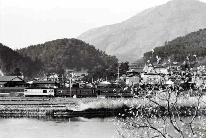 FH000048.jpg (85565 �o�C�g)