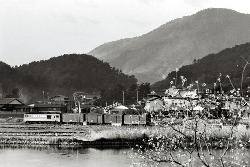 FH000048.jpg (85565 �o�C�g)