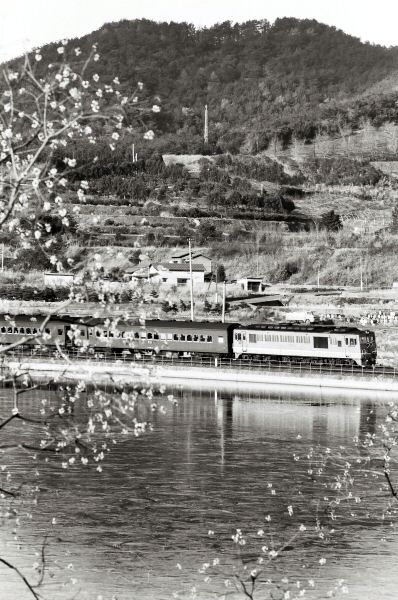 FH000048.jpg (85565 �o�C�g)