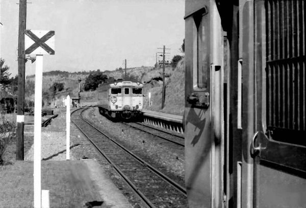 hikari01.jpg (48065 �o�C�g)