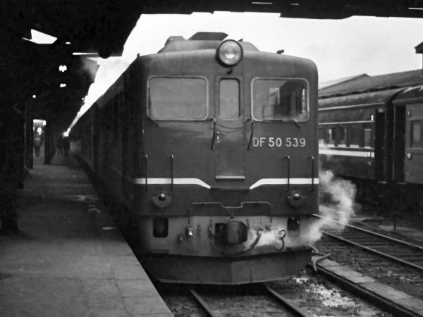 nihonkai50539.jpg (36260 �o�C�g)