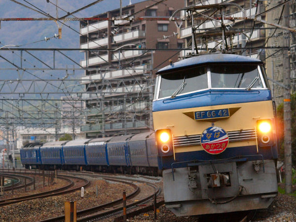 P3152764.jpg (82057 �o�C�g)