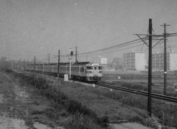 asuka.jpg (39596 �o�C�g)