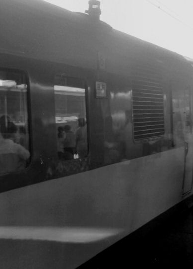 3-05hyuga.jpg (15651 �o�C�g)