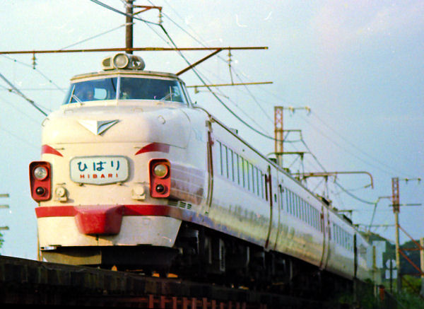 481hibari.jpg (61407 �o�C�g)