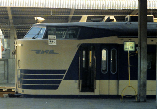 583hatsukari2.jpg (44142 �o�C�g)