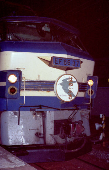 66hayax.jpg (41966 �o�C�g)