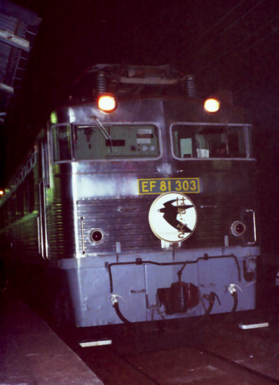 81hayax.jpg (38692 �o�C�g)