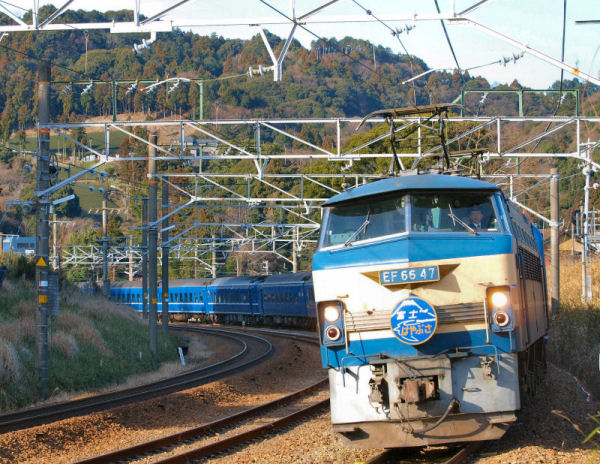 P2183622.jpg (125396 �o�C�g)