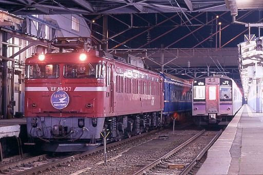 ao-hakutsuru4.jpg (64533 �o�C�g)