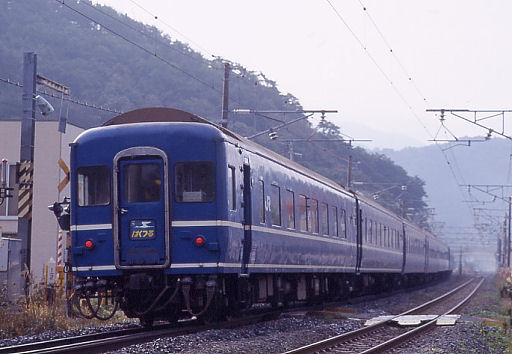 ao-hakutsuru7.jpg (44423 �o�C�g)