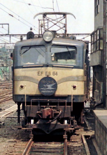 hakutsuru-07.jpg (47993 �o�C�g)