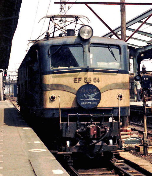 hakutsuru-08.jpg (87872 �o�C�g)