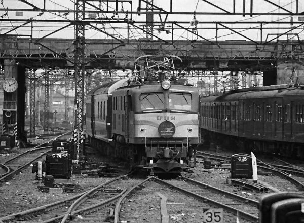 hakutsuruEF5864-2.jpg (75557 �o�C�g)