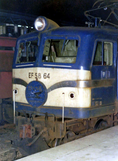 hakutsuruef5864-4.jpg (50126 �o�C�g)