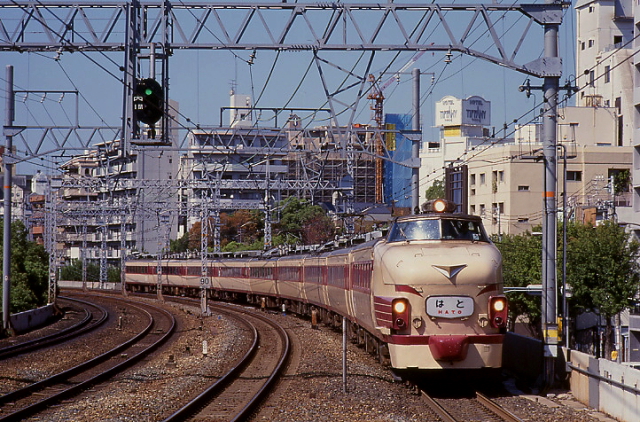 hato.JPG (406265 �o�C�g)