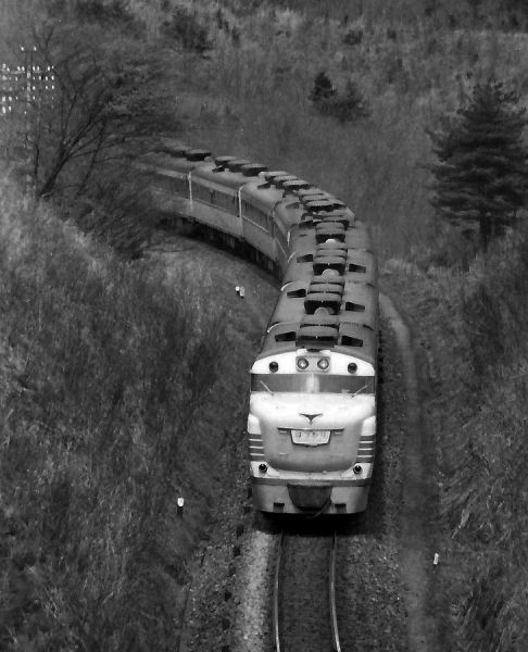 hatsukari-34.jpg (53589 �o�C�g)