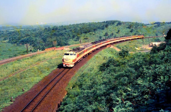 hatsukari8105.jpg (75551 �o�C�g)