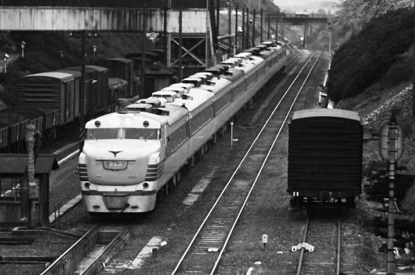 hatsukari8106.jpg (53358 �o�C�g)