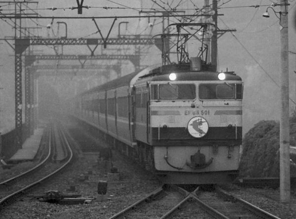 hayabusa501.jpg (43858 �o�C�g)