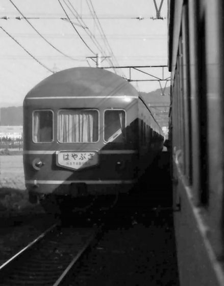 hayabusakani21.jpg (26628 �o�C�g)