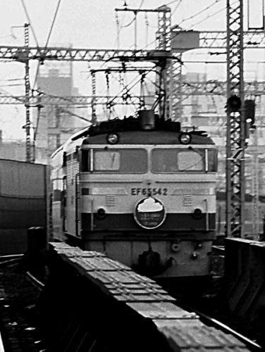 izumoEF65542.jpg (40711 �o�C�g)