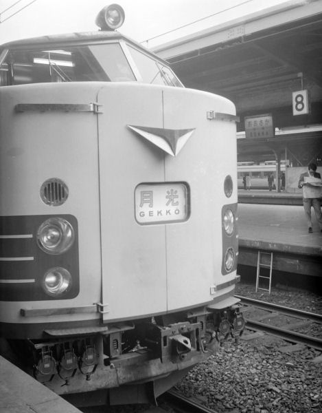 gekko.jpg (41135 �o�C�g)