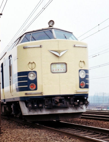 gekko2.jpg (38770 �o�C�g)