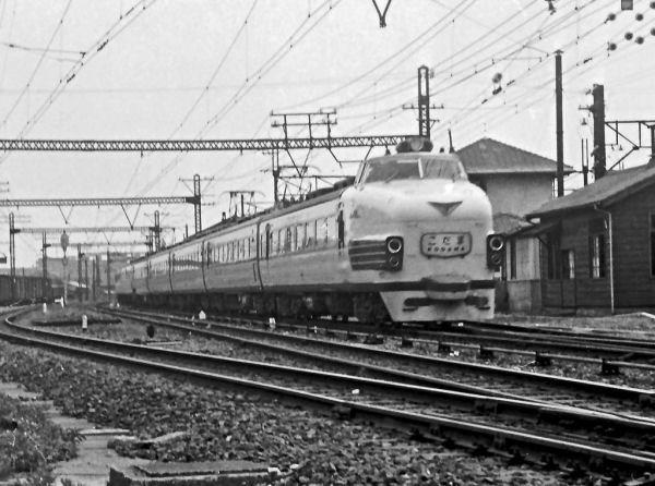 kodama151-20.jpg (56748 �o�C�g)