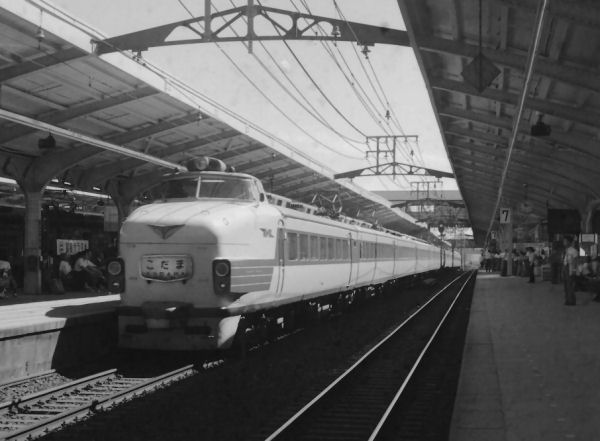 kodama151-6.jpg (39891 �o�C�g)