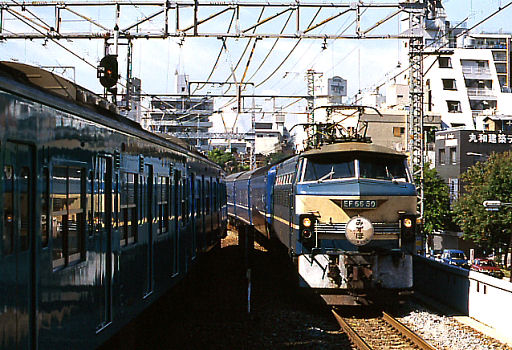 19940918-mizuho.jpg (76327 oCg)