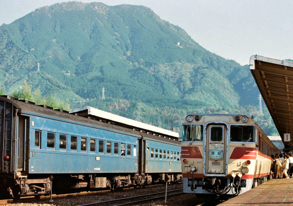 00905080s.jpg (76169 �o�C�g)