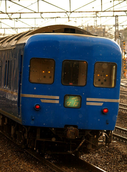 P2182044.jpg (69125 �o�C�g)