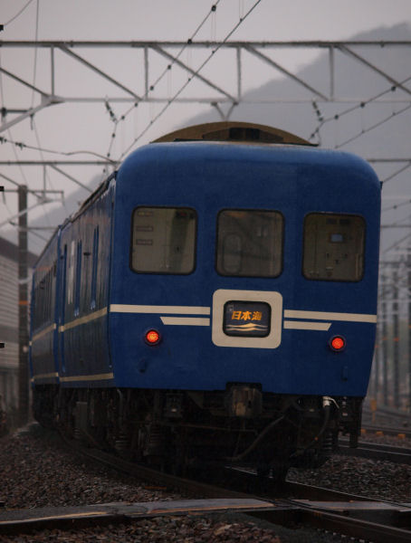 P3170667s.jpg (44577 バイト)