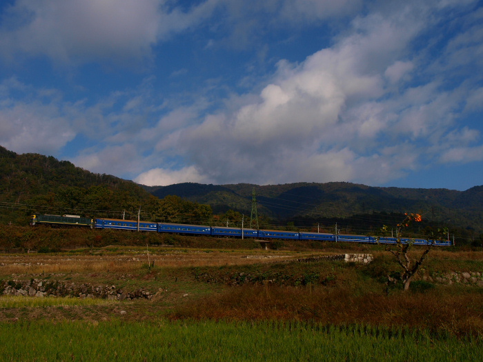 PB126522.jpg (187300 �o�C�g)