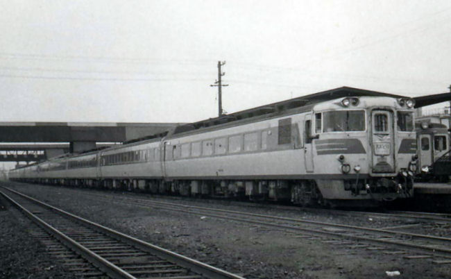 TA-ootori.jpg (43240 �o�C�g)