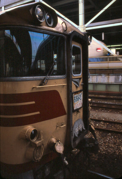 ooyodo.jpg (53688 �o�C�g)