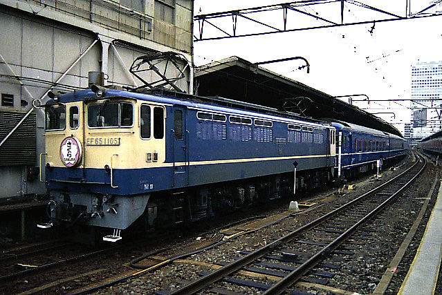 19820503-sakura.jpg (119891 �o�C�g)