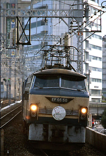 20030816-sakura-hayabusa.jpg (63718 �o�C�g)