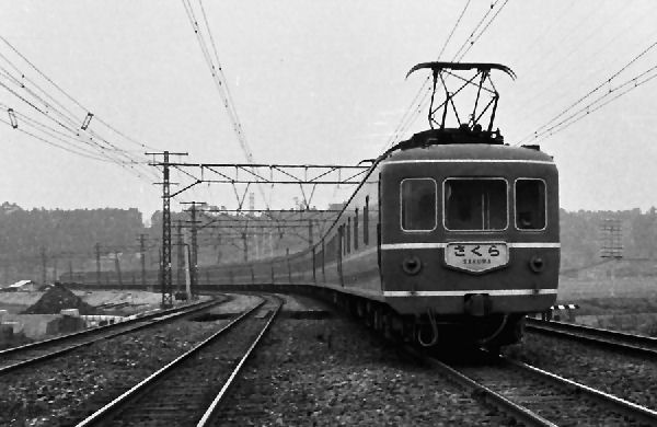 sakura-24.jpg (42333 �o�C�g)