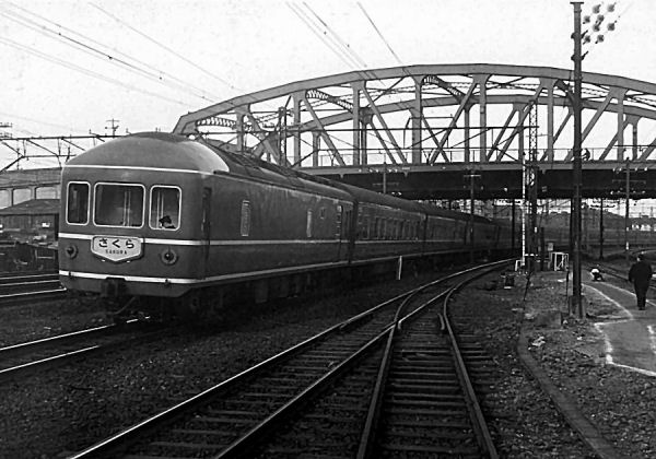 sakura201.jpg (59317 �o�C�g)