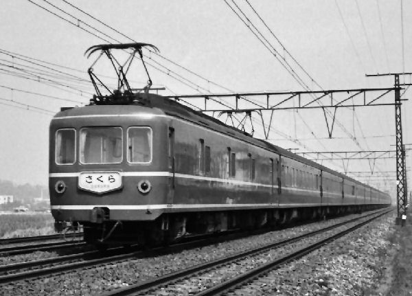 sakura33.jpg (50688 �o�C�g)