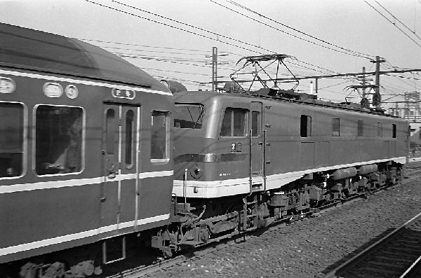 sakura58138.jpg (59167 �o�C�g)