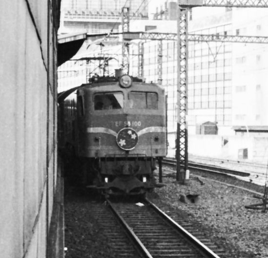 sakuraef58100.jpg (47822 �o�C�g)