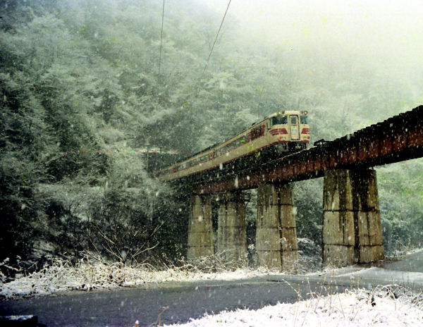 181yakumo.jpg (86258 �o�C�g)